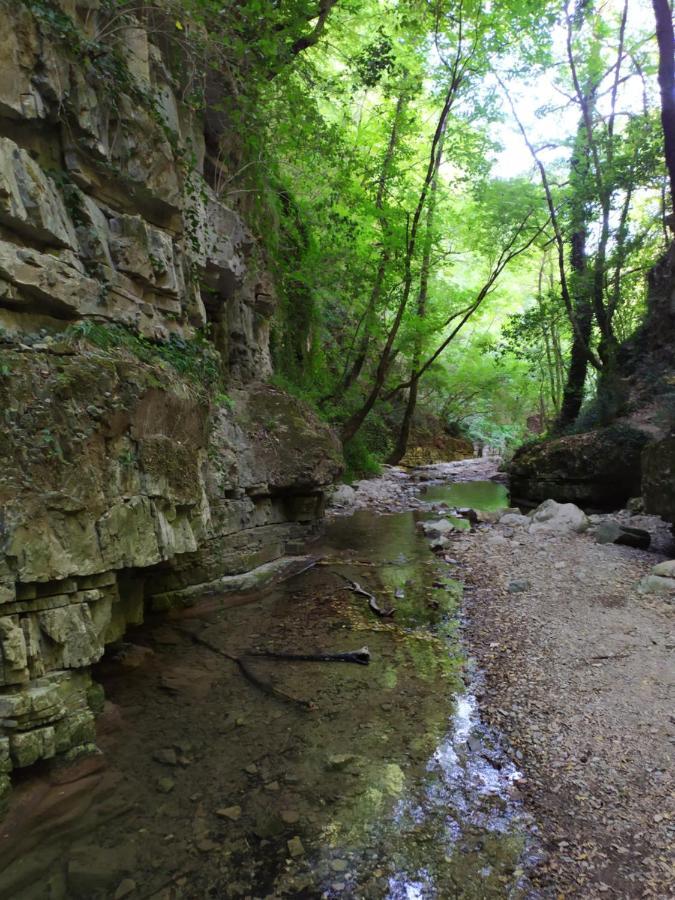 All Inbasilicata Bed & Breakfast Baragiano Екстер'єр фото